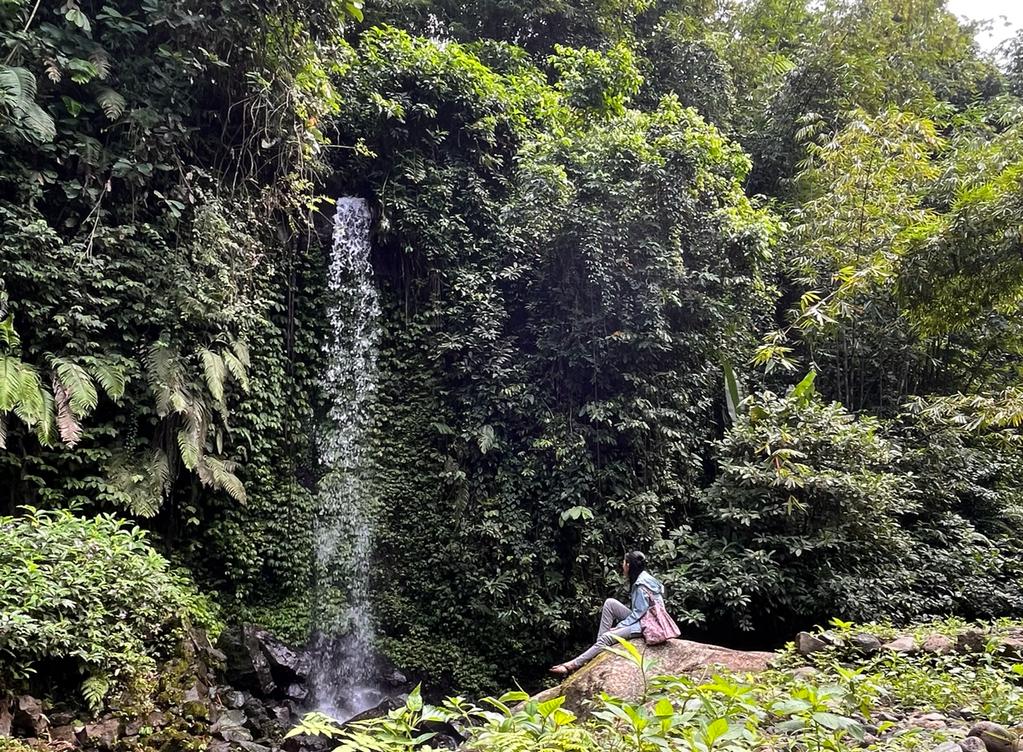 WhatsApp Image 2022-07-18 at 14.47.35